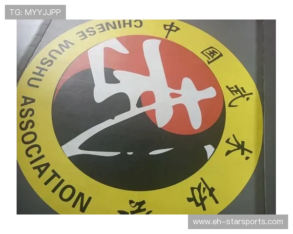 国际拳击联盟在裁判培训中增设医疗配合与伦理教育模块，国际拳击协会hk